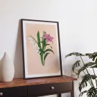 Illustration of lily and lily of the valley in digital watercolor style.